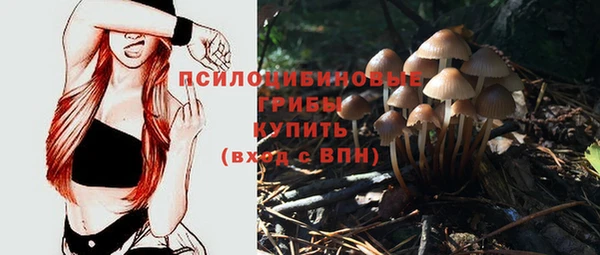a pvp Армянск