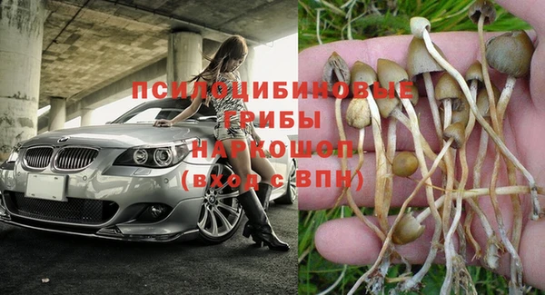 первитин Покачи