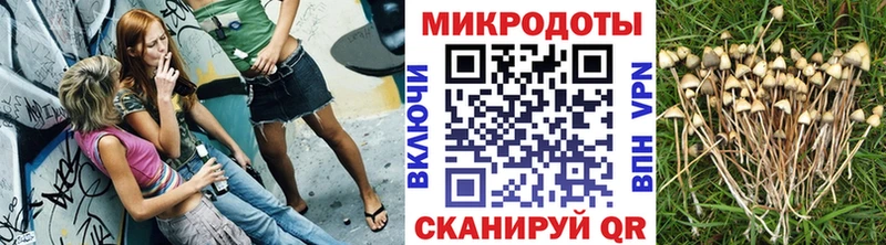 Галлюциногенные грибы прущие грибы сколько стоит Бокситогорск