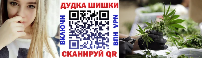 Шишки марихуана планчик  дарнет шоп  Бокситогорск 